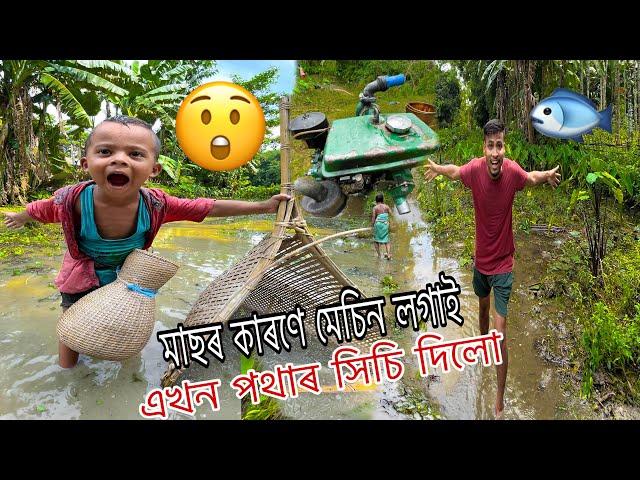 মেচিন লগাই পথাৰ সিচি কিমান মাছ ধৰিলো //Guti Assames vlog