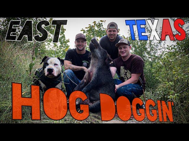 Hog Doggin: A Texas Hog Hunt **Graphic** #hoghunting