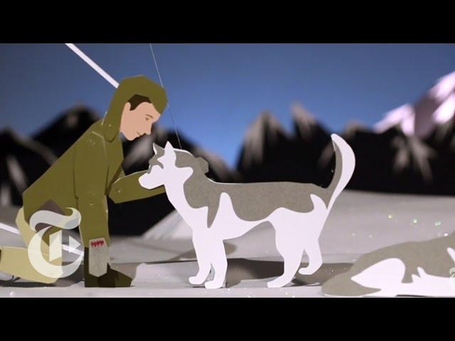 Animated Life: Pangea | Op-Docs | The New York Times