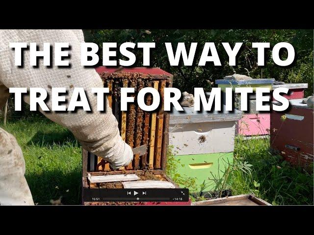 The best way to treat for mites