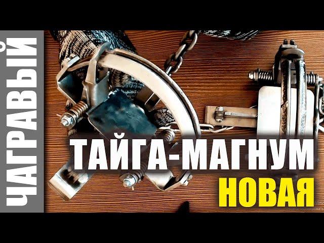 Обзор капкана Тайга - Магнум | "Русский Бриджер"