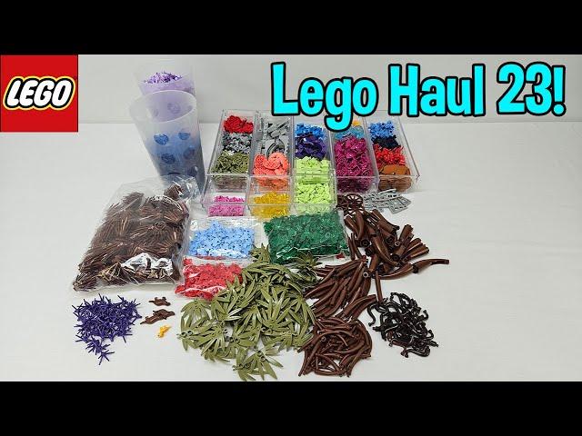 LEGO Haul 23! | in 4K! | LEGO Bricks and Pieces and PAB Wall Finds! #lego #legohaul #legoaddict