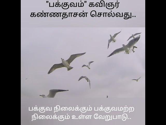 பக்குவ நிலை பக்குவமற்ற நிலை   #கண்ணதாசன்#shortsfeed#trending @karkakasadaramk8089.