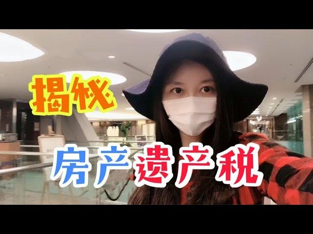 日本房子的遗产税有多高？听听专家怎么解释，外国人很吃香！ #日本生活【智君奈奈看日本Tokyo】