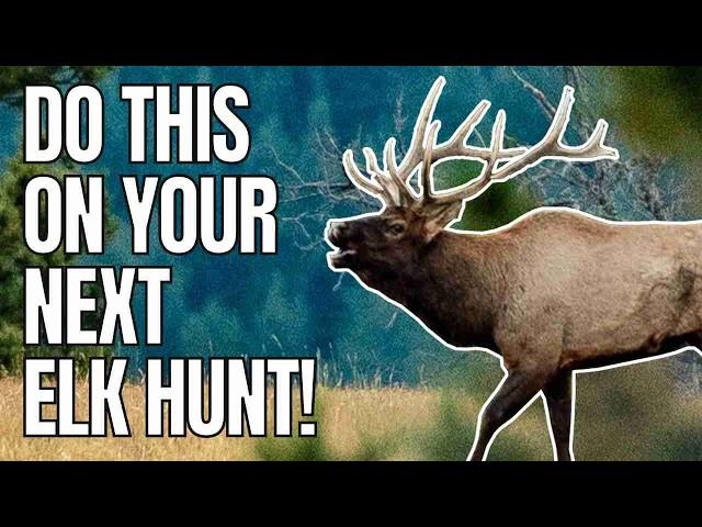 10 Timeless Archery Elk Tactics