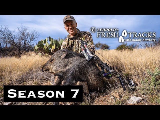 Sonoran Wildlife Wonderland: Arizona Coues, Quail, Jack Rabbit and Javelina | (Amazon Episode)