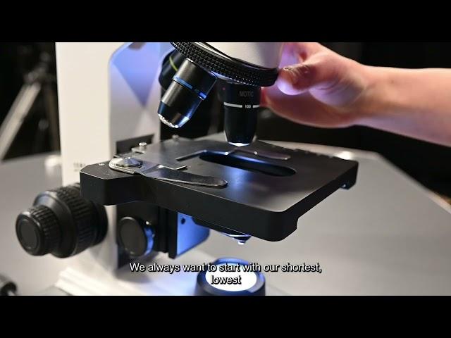 How to Focus a Microscope