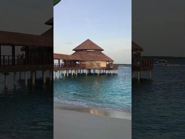 Maldives #mrdiliphimachali #maldives #reethifaruresort #reethifaru #travel #maldivian