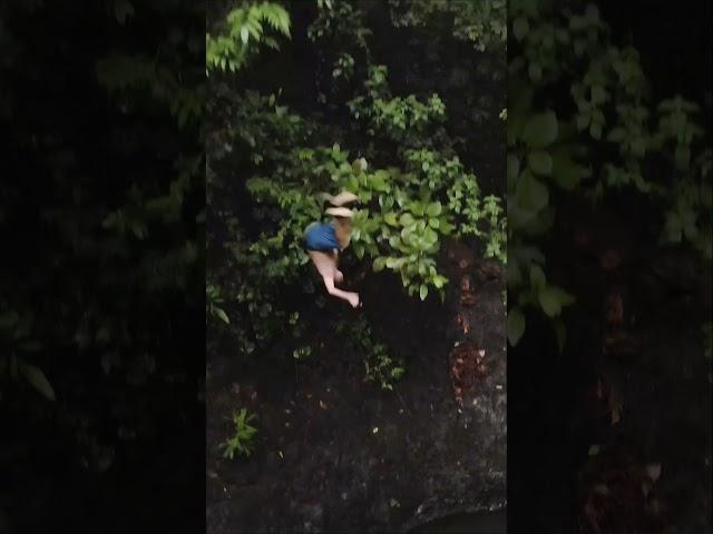 Our guide demonstrating how to jump of the 30 foot platform #costarica #jacocostarica