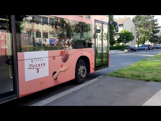 Autobus Linie 30A Großjedlersdorf, Jochbergengasse in Wien