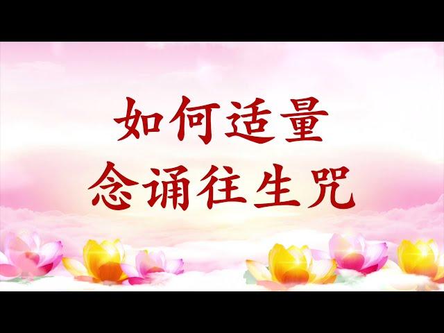 卢台长【如何适量念诵往生咒】