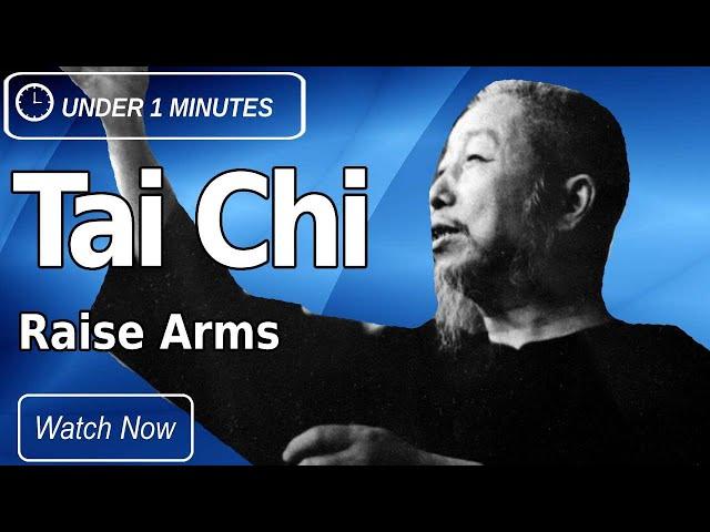 Cheng Man Ching 37 Short Form Movement #4 Raise Arms