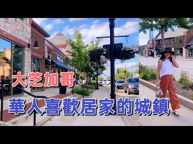 芝加哥都會區 華人喜歡居住什麼樣的城鎮? ...... Best places to live in Chicago Metropolitan area