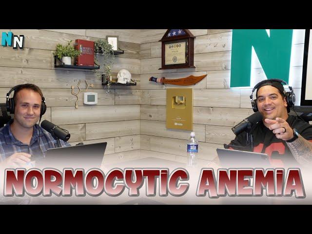 Normocytic Anemia | Podcast