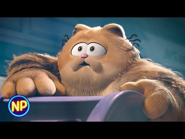 Garfield's Dad Reveals Why He Left Him | The Garfield Movie (2024) | Now Playing