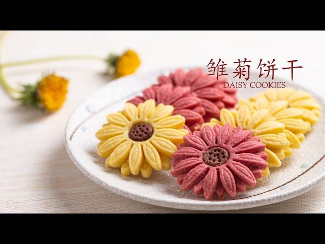 Impressive Daisy Cookies | Easy & Taste As Good As It Looks!! 阳光又治疗的雏菊饼干 制作简单 香酥美味