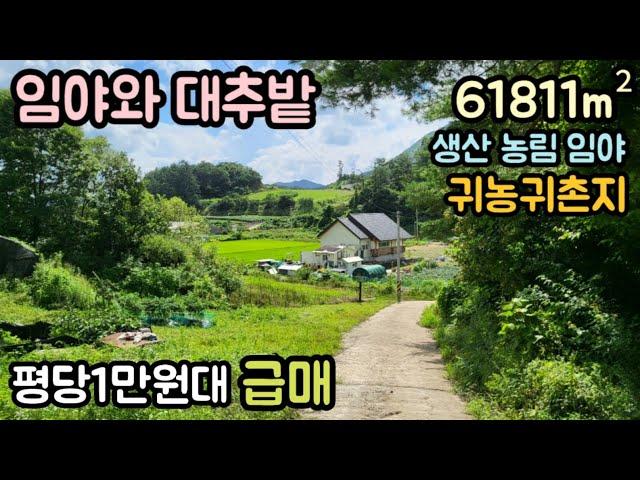 (매물번호13763) 평당1만원대 보은부동산 61811㎡(18697) 보은땅 보은토지매매매물 청주부동산 청주토지 시골땅 촌땅 주말농장 귀농귀촌 전원주택지 집터 대전부동산 대전토지