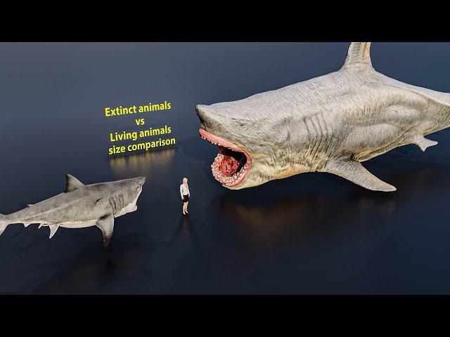 Extinct animals vs living animals size comparison 3D Animation