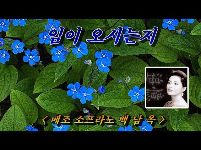 [가곡]  임이 오시는지  소프라노  백남옥 (HD with Lyrics) 