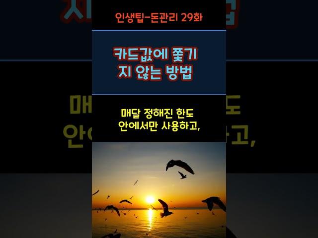 카드값 때문에 불안하다면, 이 방법 써보세요 #카드관리 #신용카드 #소비습관 #돈관리법 #재무건강