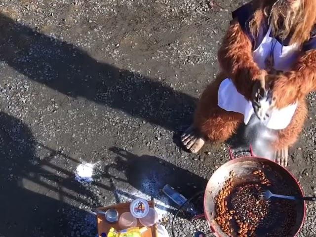 Bigfoot, Onewheel, and Squatchnuts!!!!