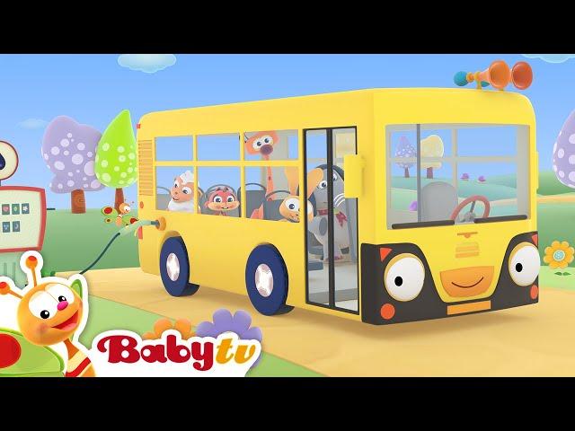 As Rodas do Autocarro  | Canções & Rimas | BabyTV Português