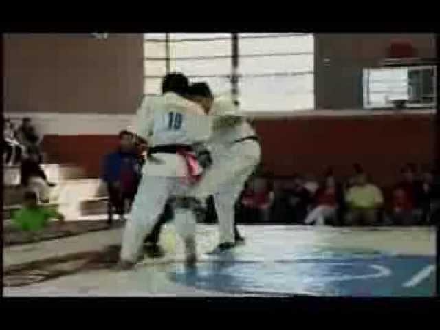 Kyokushin IKO II Chile