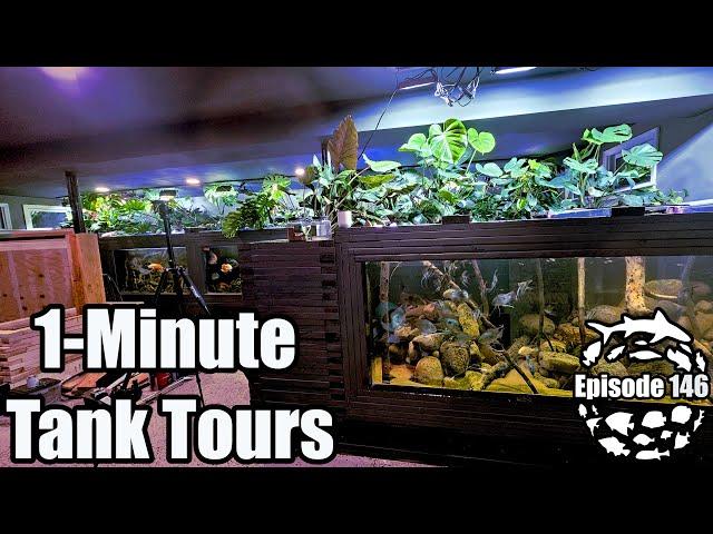 1-Minute Aquarium Reviews For the Entire Fish Basement
