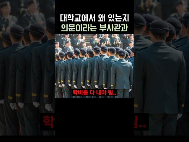 대학교에 왜 있는지 의문인 부사관학과