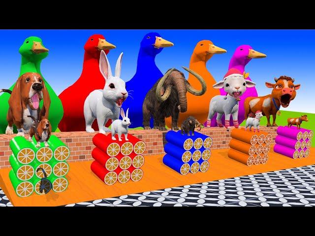 5 Giant Duck Cow Elephant Lion Gorilla Buffalo Chicken ESCAPE ROOM CHALLENGE Animals Cage Game