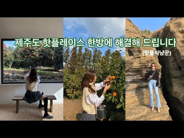 [여행vlog]제주도 핫플레이스 한방에 해결해드립니다(feat.핫플사냥꾼)