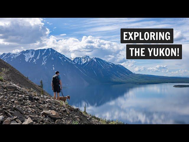 Our EPIC drive through the YUKON on the Alaska Highway! (Whitehorse, Kluane National Park, & MORE!)