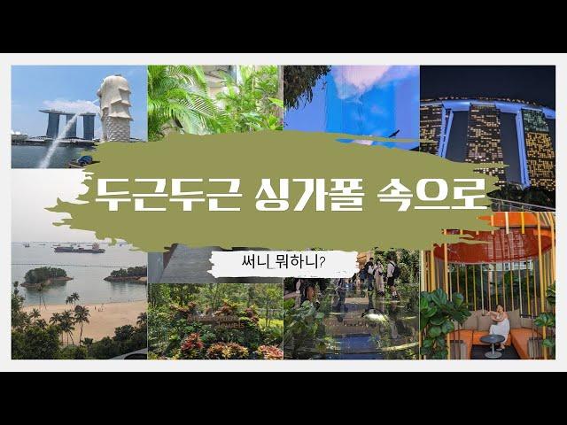 써니와 대니의 싱가폴 여행 Ep.1 24시간걸려 도착한 멀지만 흥미로운 나라!