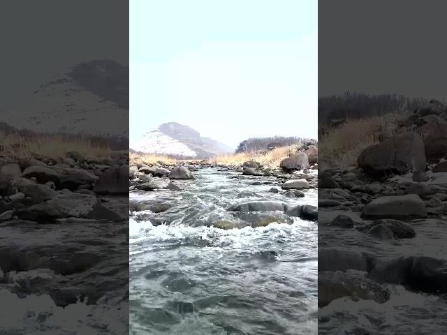 Nature’s Lullaby: Volume Up!