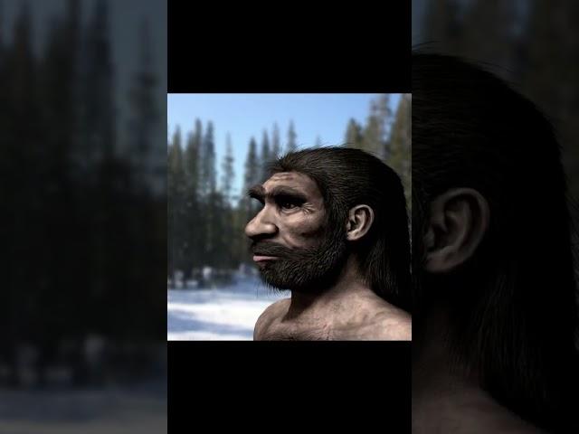 Early Human Species Coexist || Fascinating Facts