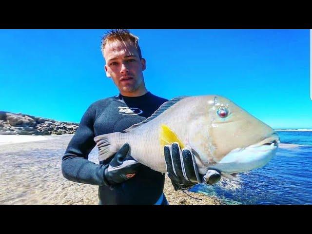 A Trip up north & a Big Blue Grouper CATCH AND COOK