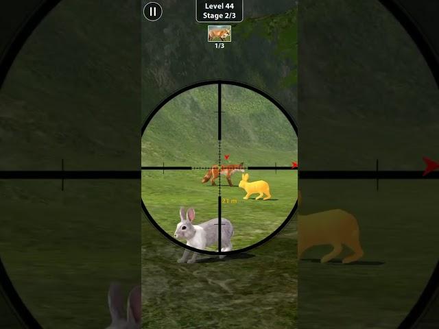 Animal Shooting: Jungle Hunter | Wild Animal Hunting