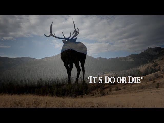 Its' Do or Die