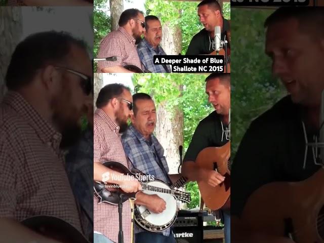 Deeper Shade of Blue - River of Tears 2015 Shallote Bluegrass #jimfraley