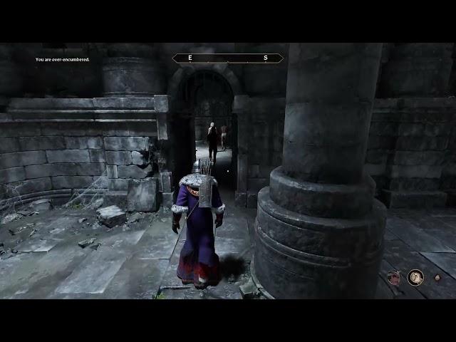 I found a way to steal not-visible items from NPCS!