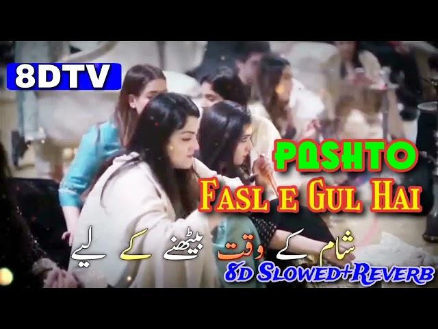 Fasl e Gul Hai || Pashto Style | 8d song Slowed+Reverb | @8dtv1 @rangona