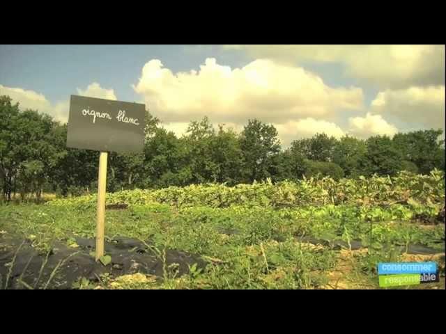 La cueillette des gourmands à Bouaye (44).mov