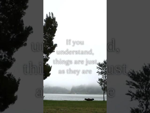 The Art of Understanding: A Buddhist Koan
