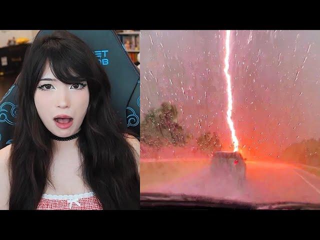 Emiru Reacts to "They're Lucky to Be Alive" by @DailyDoseOfInternet