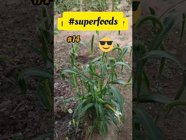 this is a superfood star for digestion and heart health #shorts #shortsfeed #shortsvideo