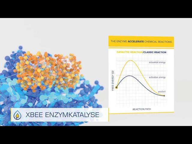 XBEE-Enzymkatalyse im Kraftstoff