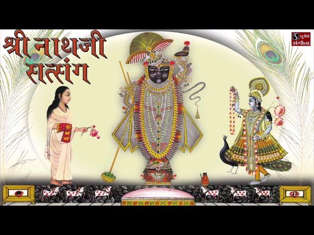 Shrinathji Satsang | Top 20 Songs | Beautiful Collection of Most Popular Shrinathji Songs |