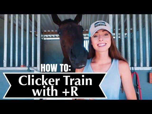 HOW TO CLICKER TRAIN WITH +R // for horses(: