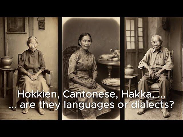 Hokkien, Cantonese, Hakka - are they languages or dialects? #chineselanguage