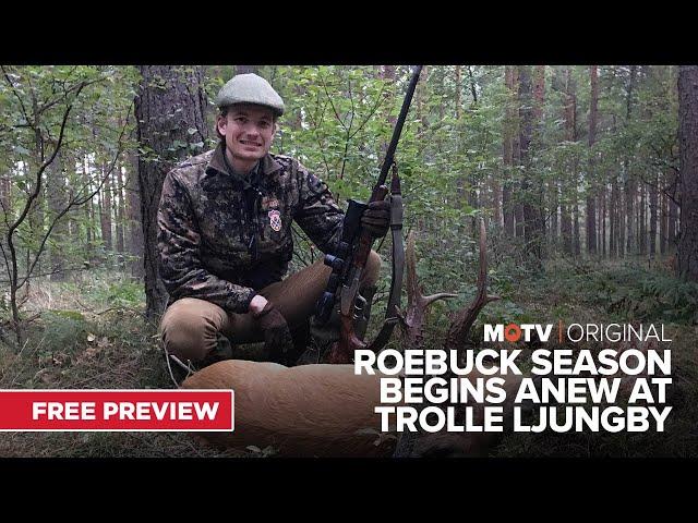 Roebuck Season Begins Anew at Trolle Ljungby Series 1 | An MOTV Original